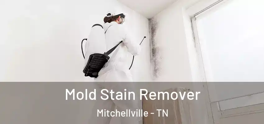  Mold Stain Remover Mitchellville - TN