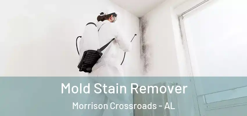  Mold Stain Remover Morrison Crossroads - AL