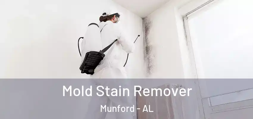 Mold Stain Remover Munford - AL
