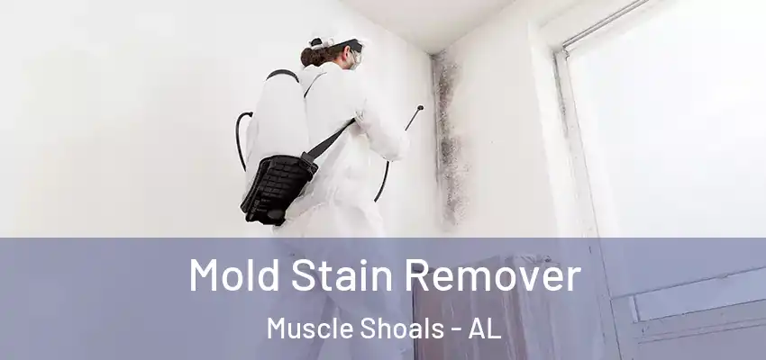 Mold Stain Remover Muscle Shoals - AL