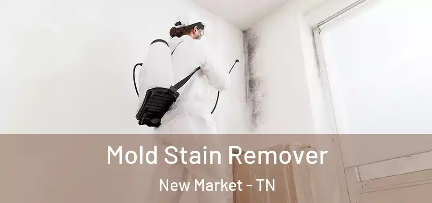 Mold Stain Remover New Market - TN