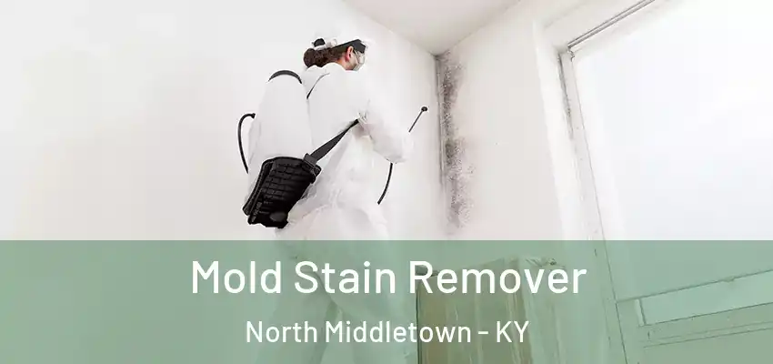 Mold Stain Remover North Middletown - KY