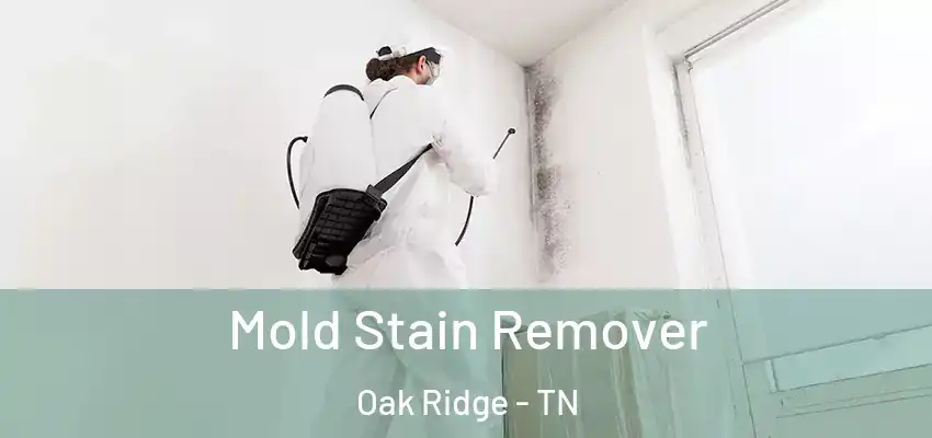 Mold Stain Remover Oak Ridge - TN