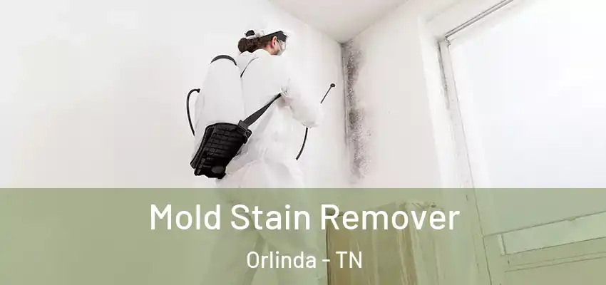  Mold Stain Remover Orlinda - TN