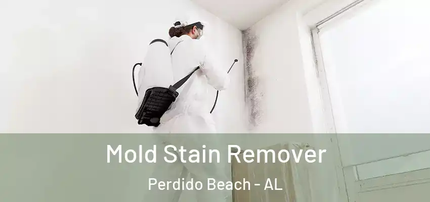  Mold Stain Remover Perdido Beach - AL