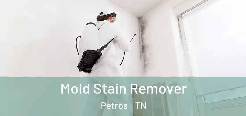  Mold Stain Remover Petros - TN