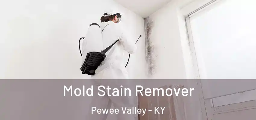  Mold Stain Remover Pewee Valley - KY