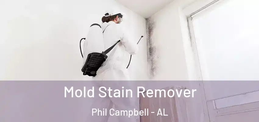 Mold Stain Remover Phil Campbell - AL