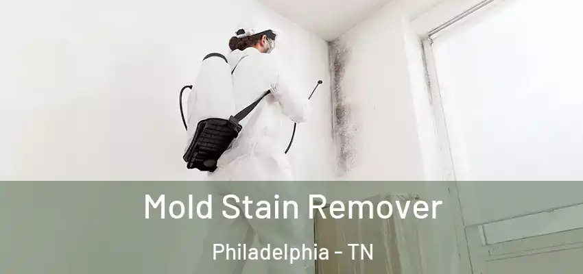  Mold Stain Remover Philadelphia - TN