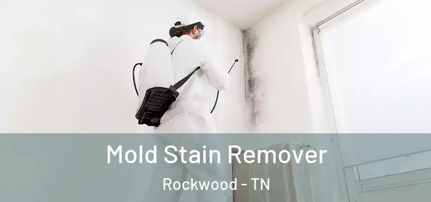  Mold Stain Remover Rockwood - TN