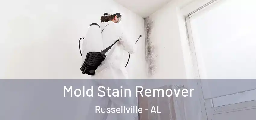 Mold Stain Remover Russellville - AL