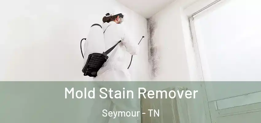 Mold Stain Remover Seymour - TN