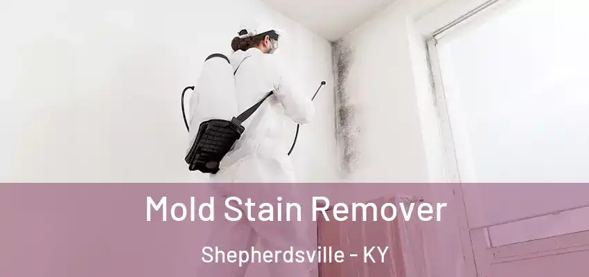  Mold Stain Remover Shepherdsville - KY