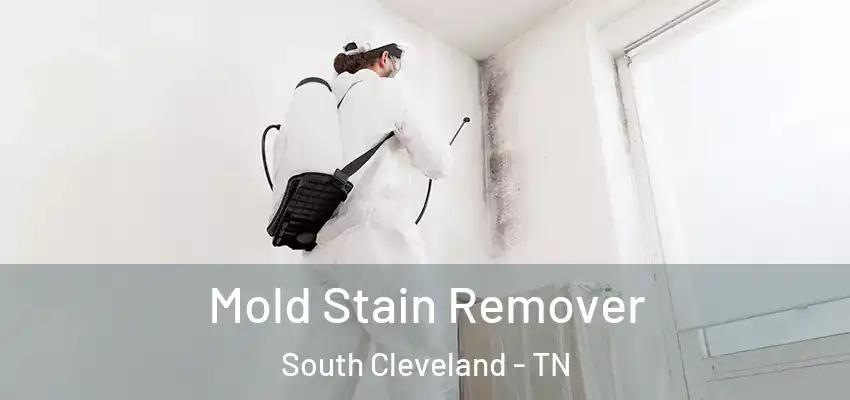  Mold Stain Remover South Cleveland - TN