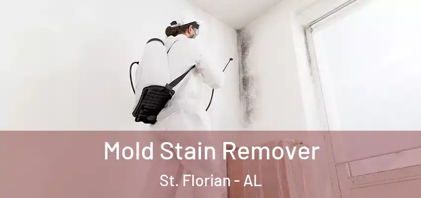  Mold Stain Remover St. Florian - AL