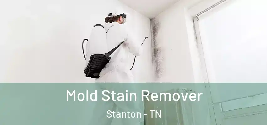 Mold Stain Remover Stanton - TN