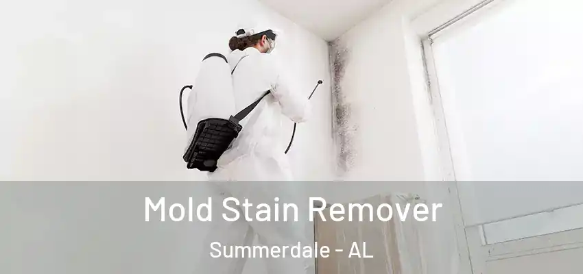 Mold Stain Remover Summerdale - AL