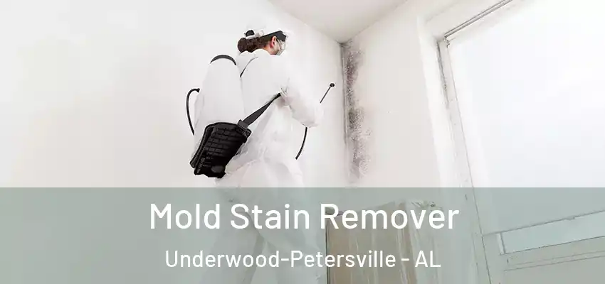  Mold Stain Remover Underwood-Petersville - AL