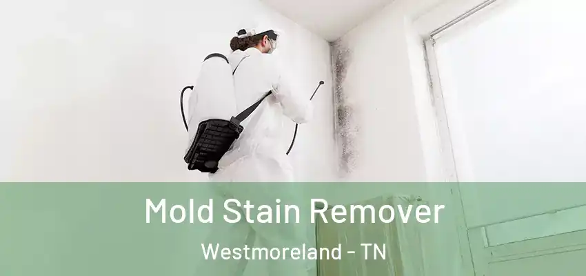  Mold Stain Remover Westmoreland - TN