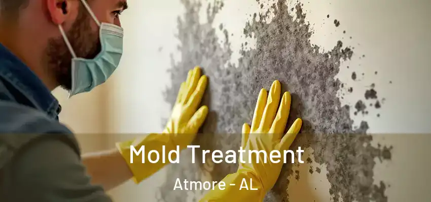  Mold Treatment Atmore - AL