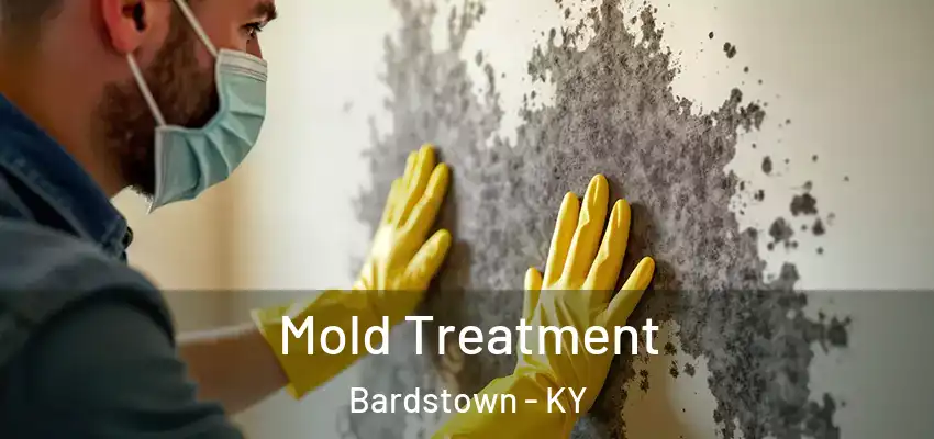  Mold Treatment Bardstown - KY