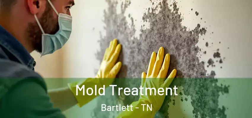  Mold Treatment Bartlett - TN