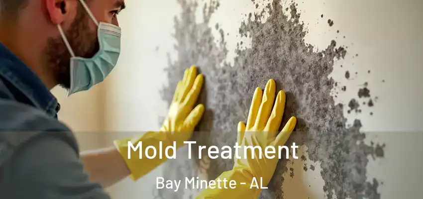 Mold Treatment Bay Minette - AL