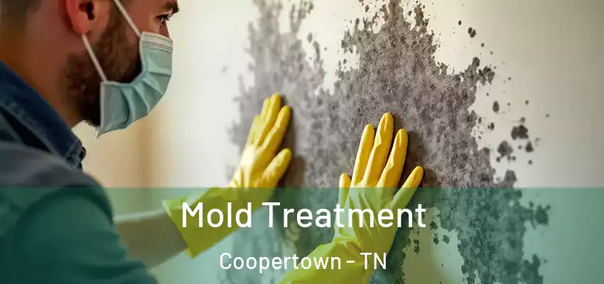 Mold Treatment Coopertown - TN