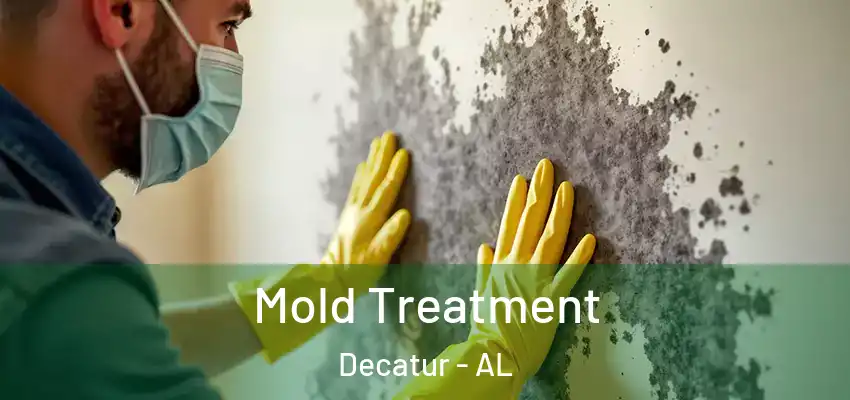 Mold Treatment Decatur - AL