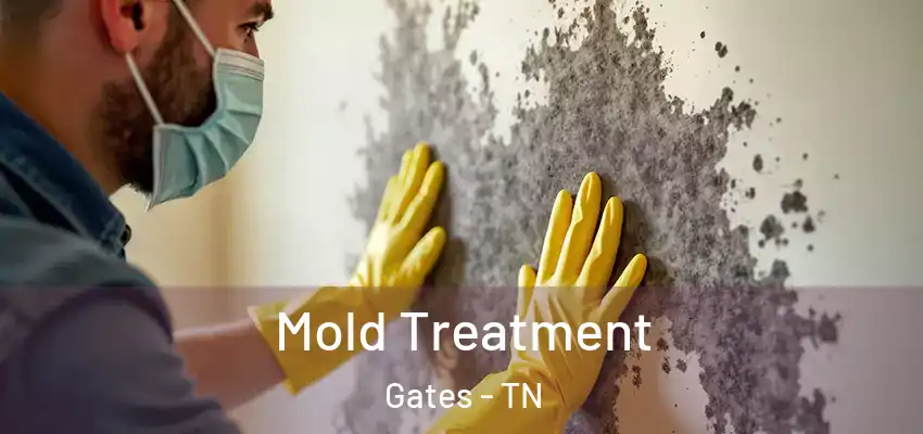  Mold Treatment Gates - TN