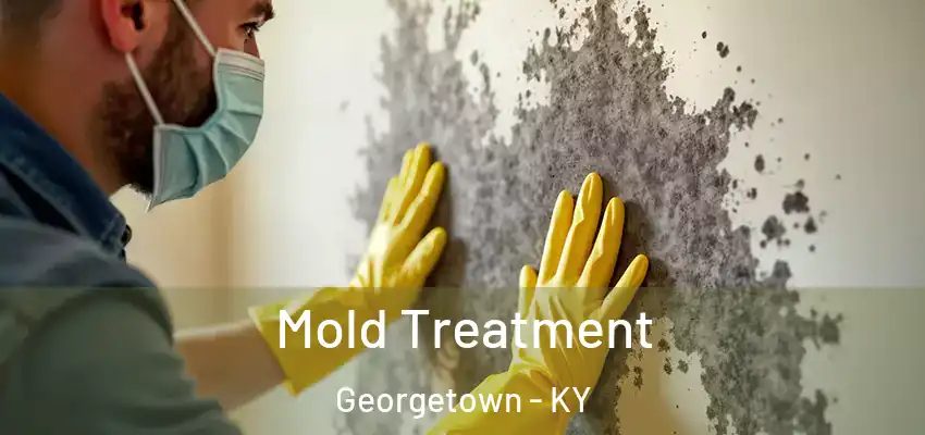  Mold Treatment Georgetown - KY