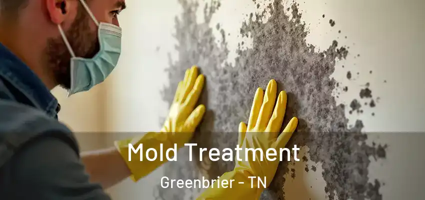 Mold Treatment Greenbrier - TN