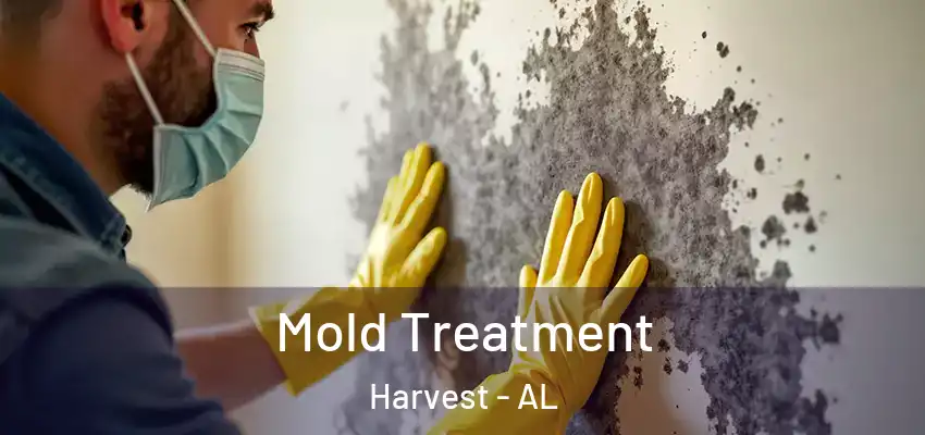  Mold Treatment Harvest - AL