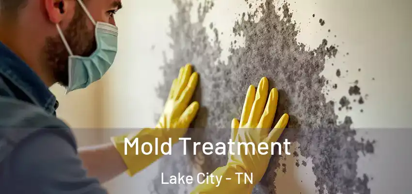 Mold Treatment Lake City - TN