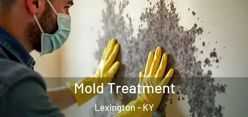 Mold Treatment Lexington - KY