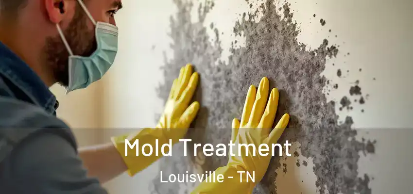  Mold Treatment Louisville - TN