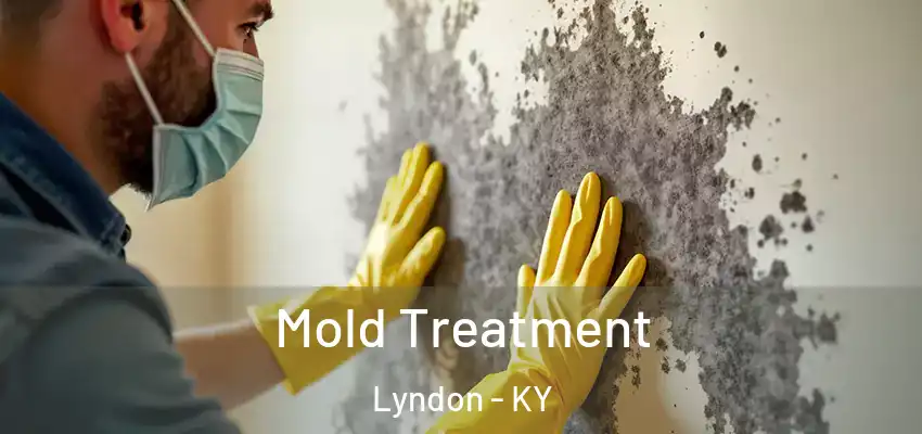  Mold Treatment Lyndon - KY