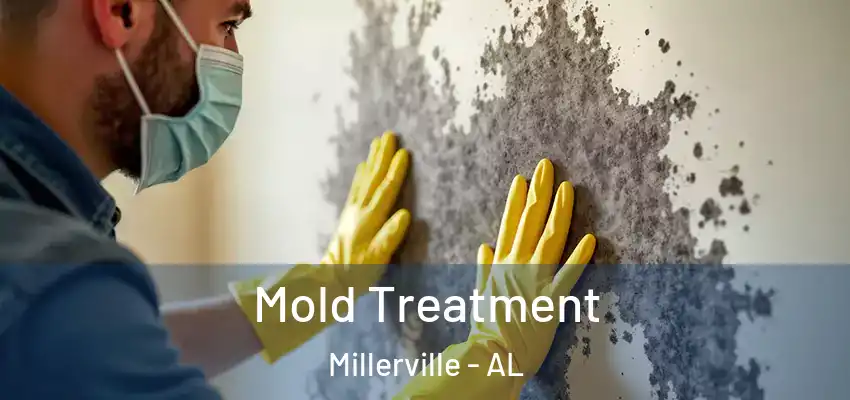 Mold Treatment Millerville - AL