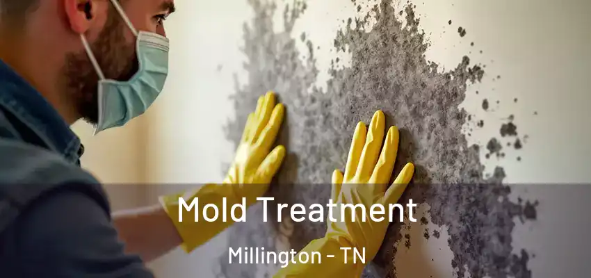 Mold Treatment Millington - TN