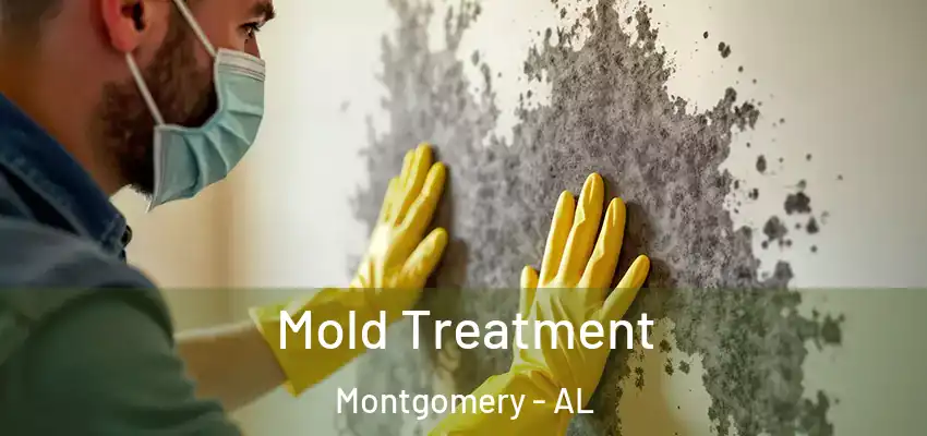 Mold Treatment Montgomery - AL