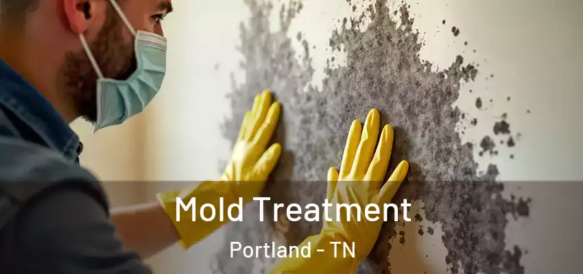 Mold Treatment Portland - TN