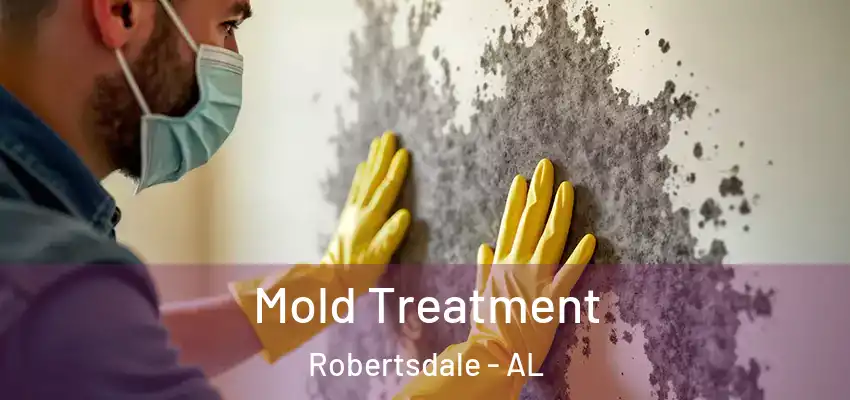 Mold Treatment Robertsdale - AL