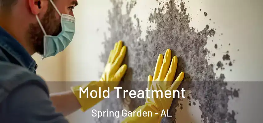  Mold Treatment Spring Garden - AL