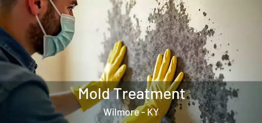  Mold Treatment Wilmore - KY