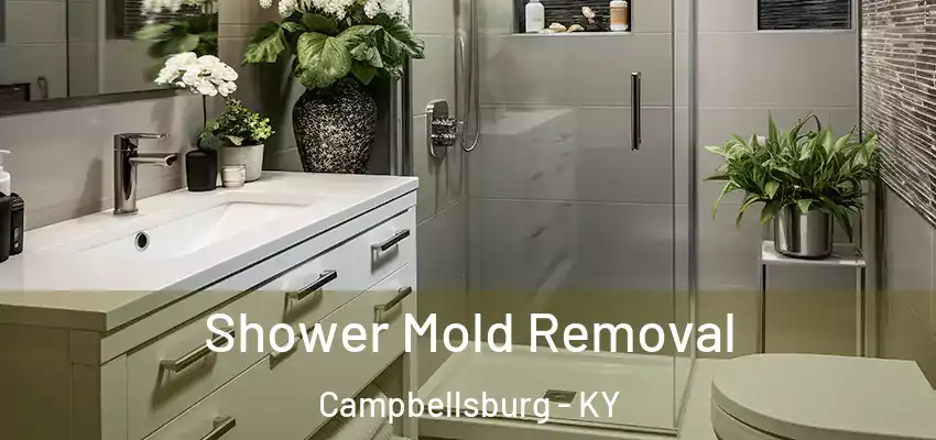  Shower Mold Removal Campbellsburg - KY