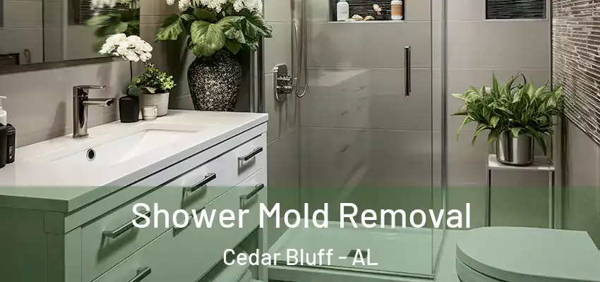  Shower Mold Removal Cedar Bluff - AL