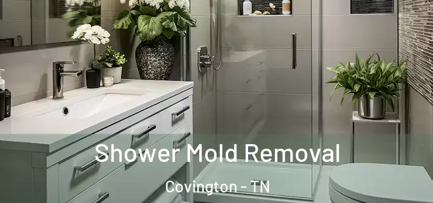  Shower Mold Removal Covington - TN