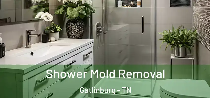  Shower Mold Removal Gatlinburg - TN