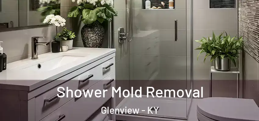 Shower Mold Removal Glenview - KY