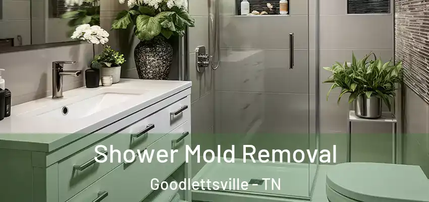 Shower Mold Removal Goodlettsville - TN